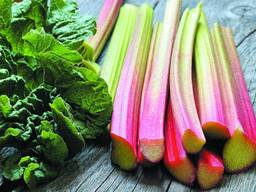 Ревінь заморожений