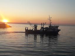 Рибопромислове судно "АРГО-9"