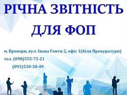 Річна звітність ФОП 2023