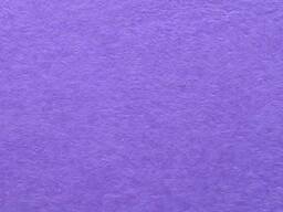 Рідкі шпалери Бегонія 135 фіолетові