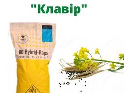 Ріпак "Клавір" (під Євро-лайтнінг)