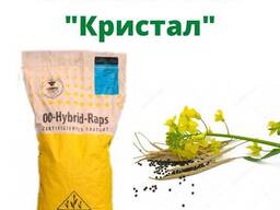 Ріпак "Кристал"
