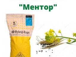 Ріпак "Ментор"