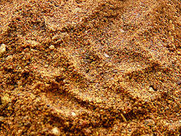 Ріпаковий шрот