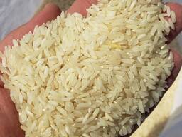 Рис довгозернистий шліфований