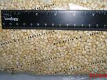 Рис воздушный (взорванный). Puffed rice - фото 4