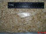 Рис воздушный (взорванный). Puffed rice - фото 5
