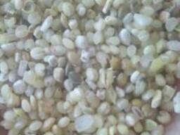 Рисовая сечка