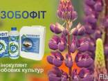 Ризобофит. Инокулянт для бобовых. - фото 1