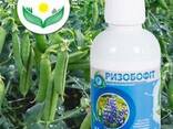 Ризобофит. Инокулянт для бобовых. - фото 3