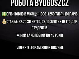 Робота на склад одягу Бидгощ