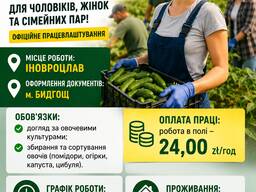 Робота в полі (Польща, Іновроцлав)