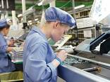 Робота в Польщі. Кентшин PHILIPS. Завод, ручна збірка лампочок, пакування - фото 1