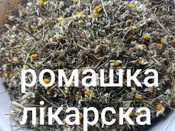 Ромашка лікарська