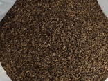 Розторопша / расторопша / Milk thistle seeds - фото 2