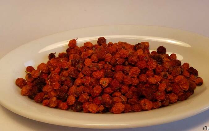 Рябина красная(плоды)