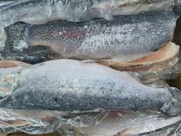 Рыба форель б/г потрошеная 1-2 кг Норвегия