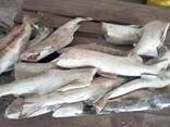 Рыба кета - фото 2