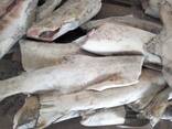 Рыба кета - фото 3