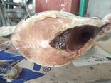 Рыба кета - фото 5
