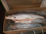Рыба красная лосось размер 4-5 кг