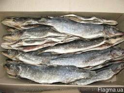 Рыбцех продаёт щуку вяленую потрошонную