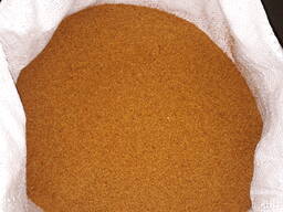 Рижій олійний