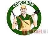 Садовник обрезка сада, садовых деревьев, уход за садом Одеса - фото 3