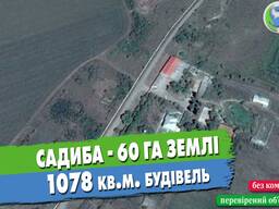 Садиба 1078 кв. м. 60 га с/г землі