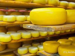 SATILIK BÜYÜKBAŞ ve KÜÇÜKBAŞ HAYVAN ÇİFTLİĞİ, iş, arazi paylaşımı, çiftlikler