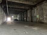 Сдам 430 м2 с действующей кран-балкой. Электричество 24/7! - фото 3