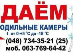 Сдам в аренду холодильную камеру