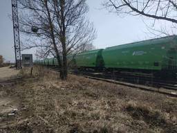 Сдам в аренду вагоны - зерновозы (120 м. куб)