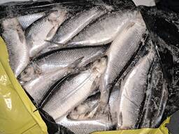 Оселедець сг см 430 плюс Ісландія, 2 Х15 кг. , в Києві