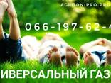 Семена Белого Клевера - фото 7