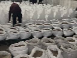 Семена часнику бульба та однозубки