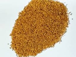 Продам насіння гірчиці білої