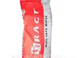 Семена кукурузы гибрид РЖТ Алоеккс