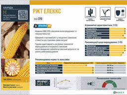 Семена кукурузы гибрид РЖТ Елеккс