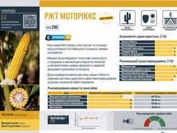 Семена кукурузы гибрид РЖТ Моторіккс