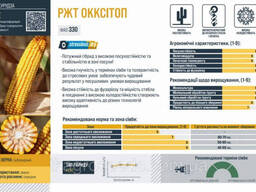 Семена кукурузы гибрид РЖТ Оккситоп