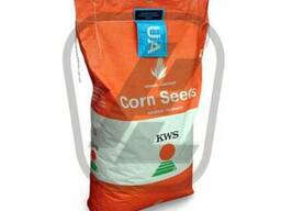 Семена кукурузы КВС (КWS)