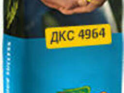 Семена Кукурузы Монсанто Декалб ДКС4964 ФАО380