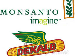 Семена кукурузы Монсанто (Monsanto)