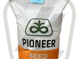 Семена кукурузы Пионер (Piоneer )