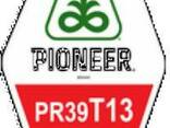 Семена кукурузы Пионер ПР39Т13 - фото 1