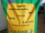 Семена люцерны Рахель (Caussade Semanses) Франция