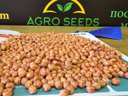 Семена озимого гороха НС Мороз "НС Мороз" 1 репродукция, AGRO SEME (Фасовка биг - бег. ..