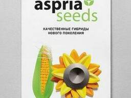 Семена подсолнечника АС 35114 (Aspria Seeds) устойчив до8 р