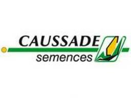 Насіння соняшника "Caussade semences" - Гібрид Шаркс